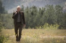 102-picard-walking-field.jpg