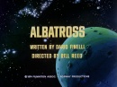 albatrosshd0001.jpg