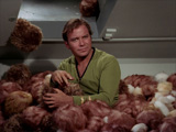 The Trouble With Tribbles